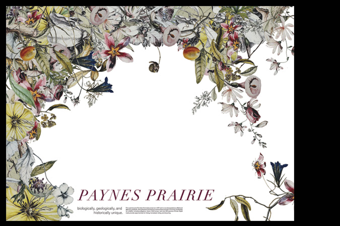 Paynes Prairie Poster McAdams
