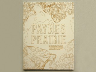 Paynes Prairie Poster