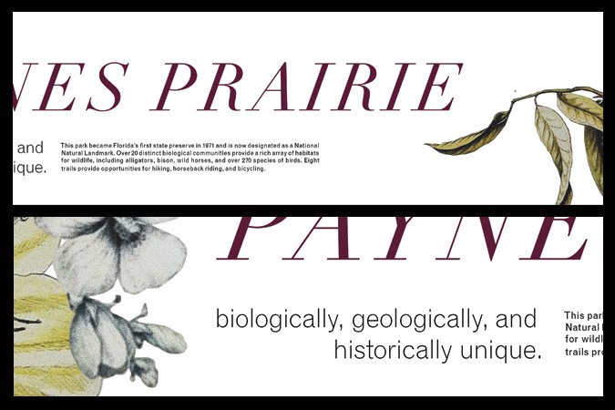 Paynes Prairie Poster McAdams