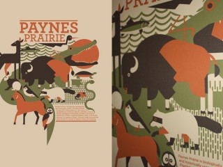 Paynes Prairie Poster 
